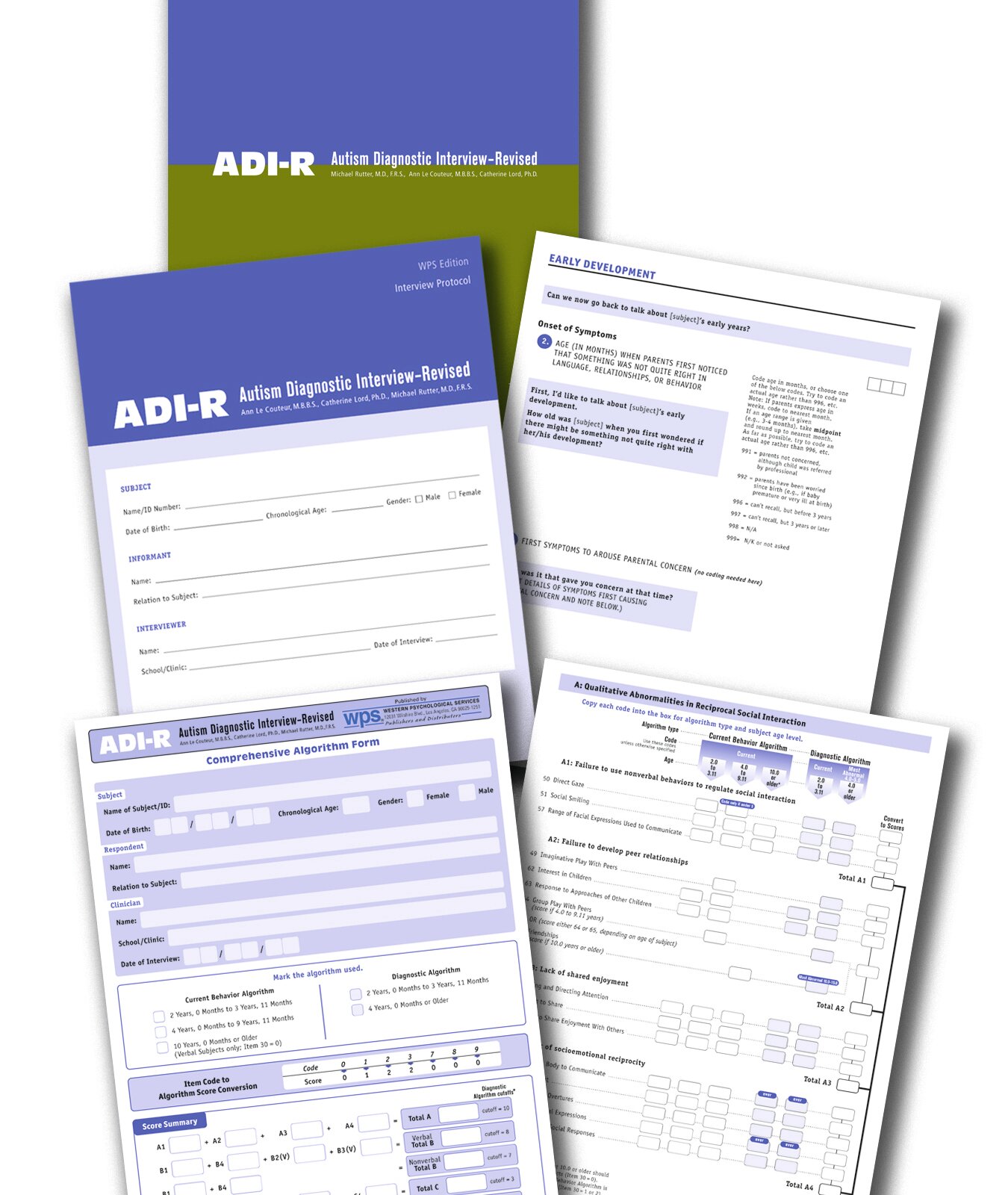 Autism diagnostic interview revised adi r 